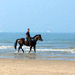 Paardrijden over het strand.